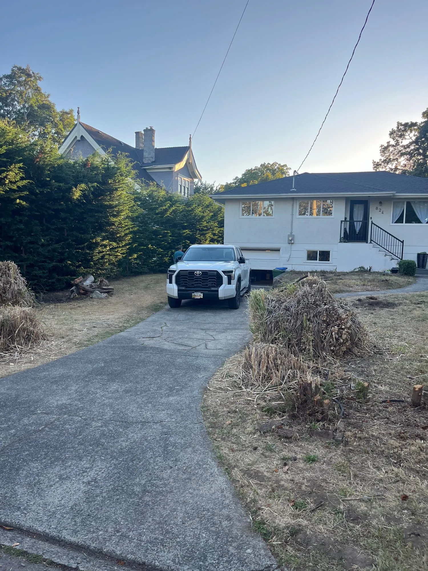 The original driveway, ready to come out.