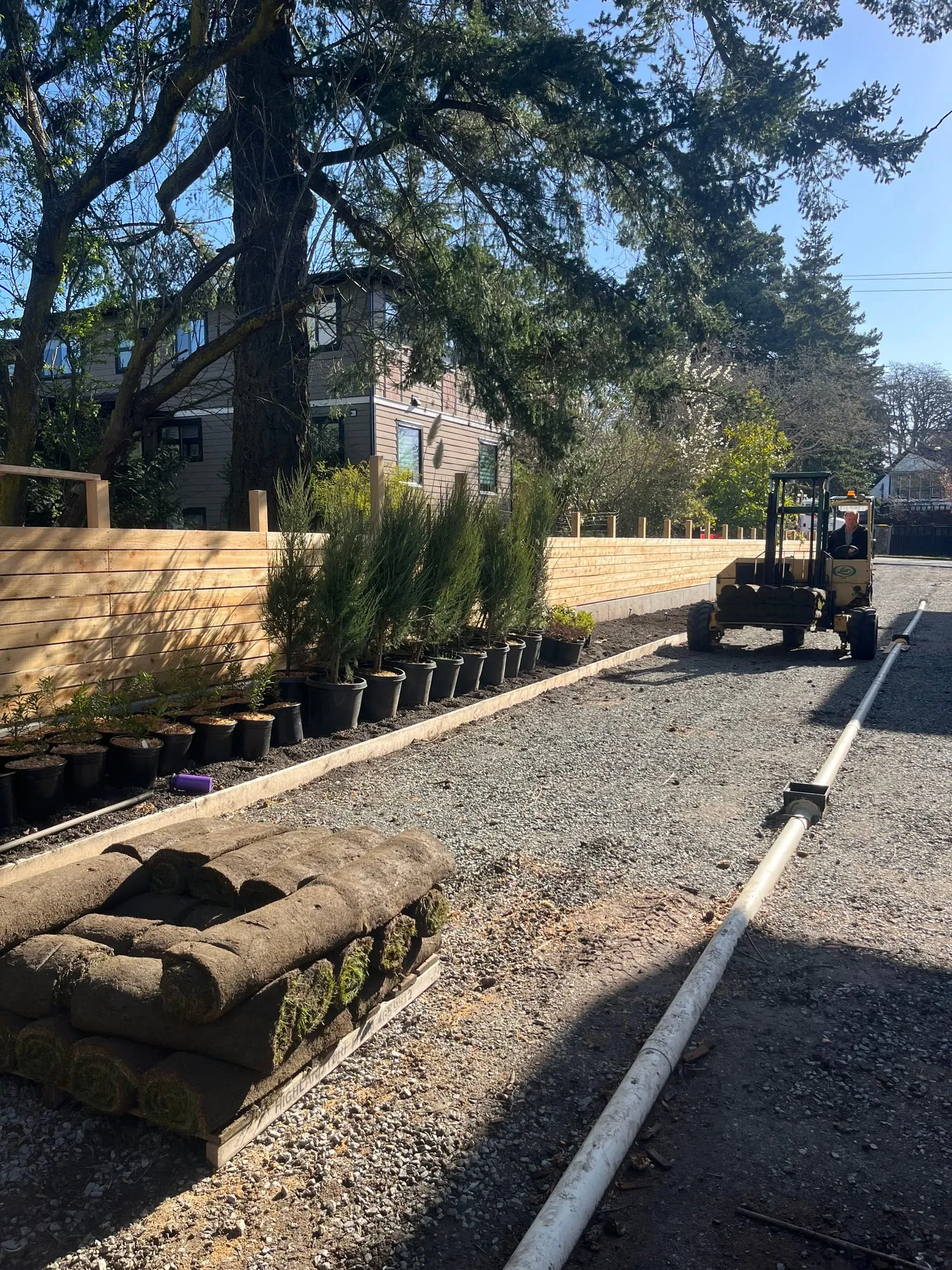 Laying fresh sod and setting out the planting package as each area opened up.