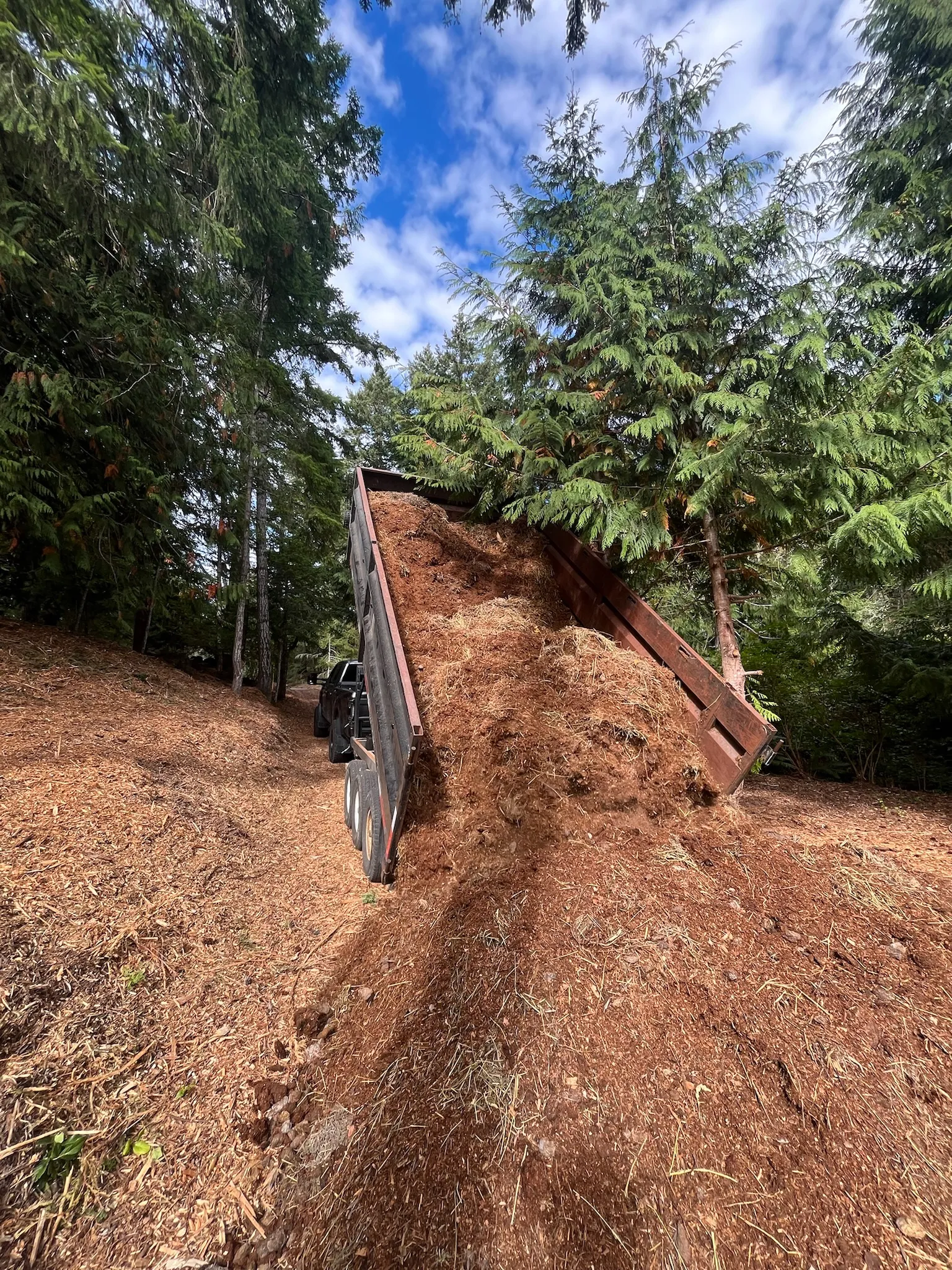 Yard Leveling & Grading