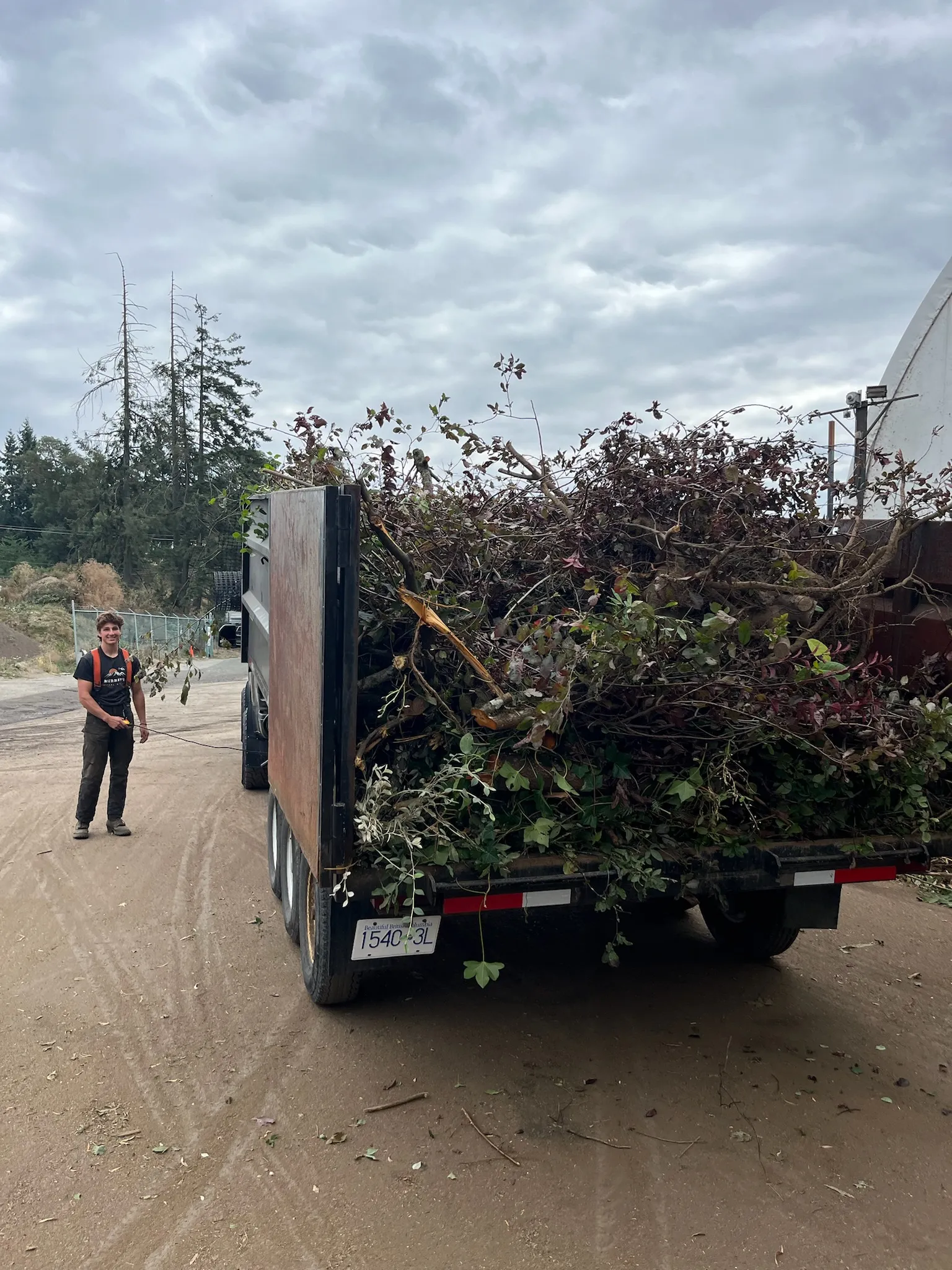 Land clearing, Land Clearing, Greater Victoria, BC