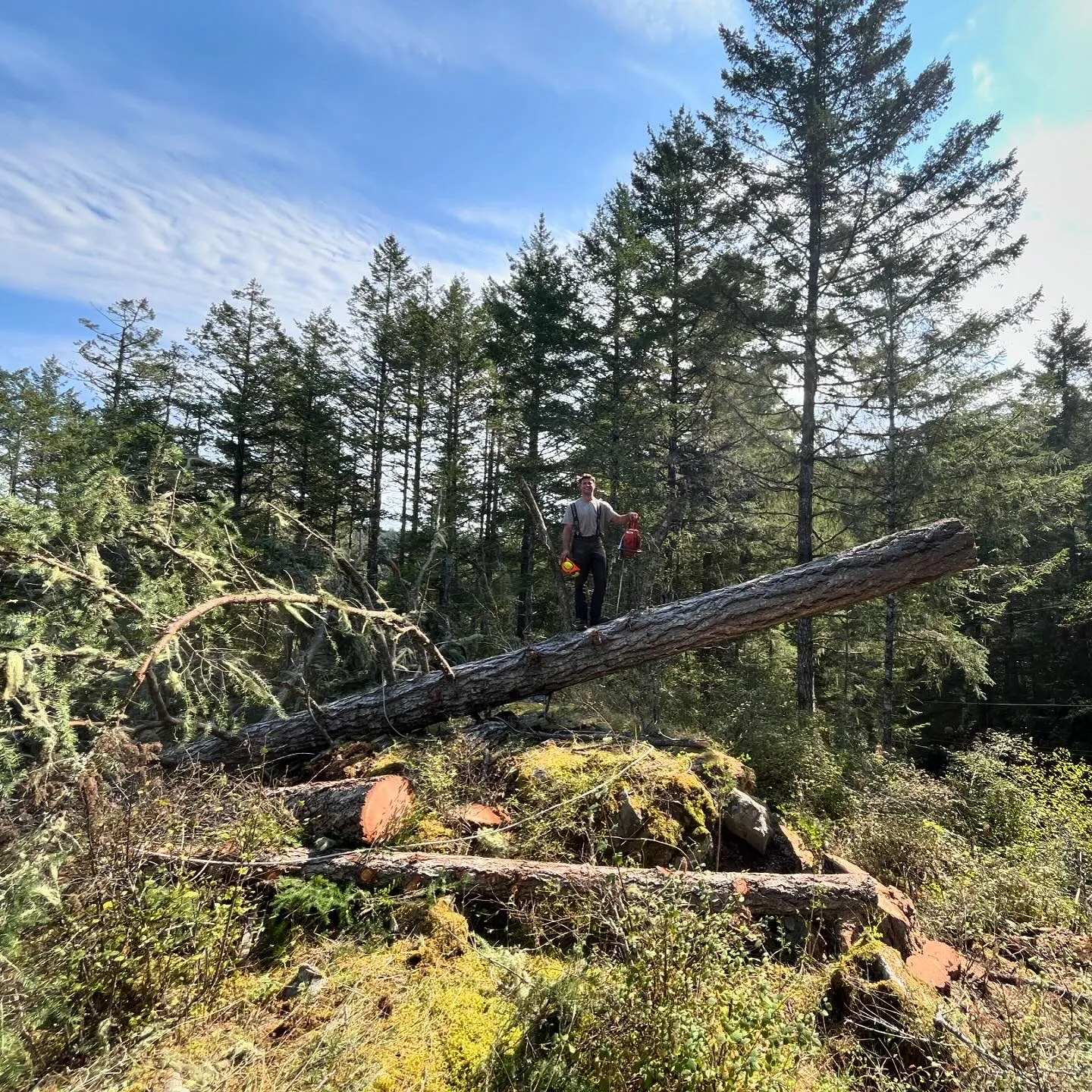 Land clearing, Land Clearing, Greater Victoria, BC