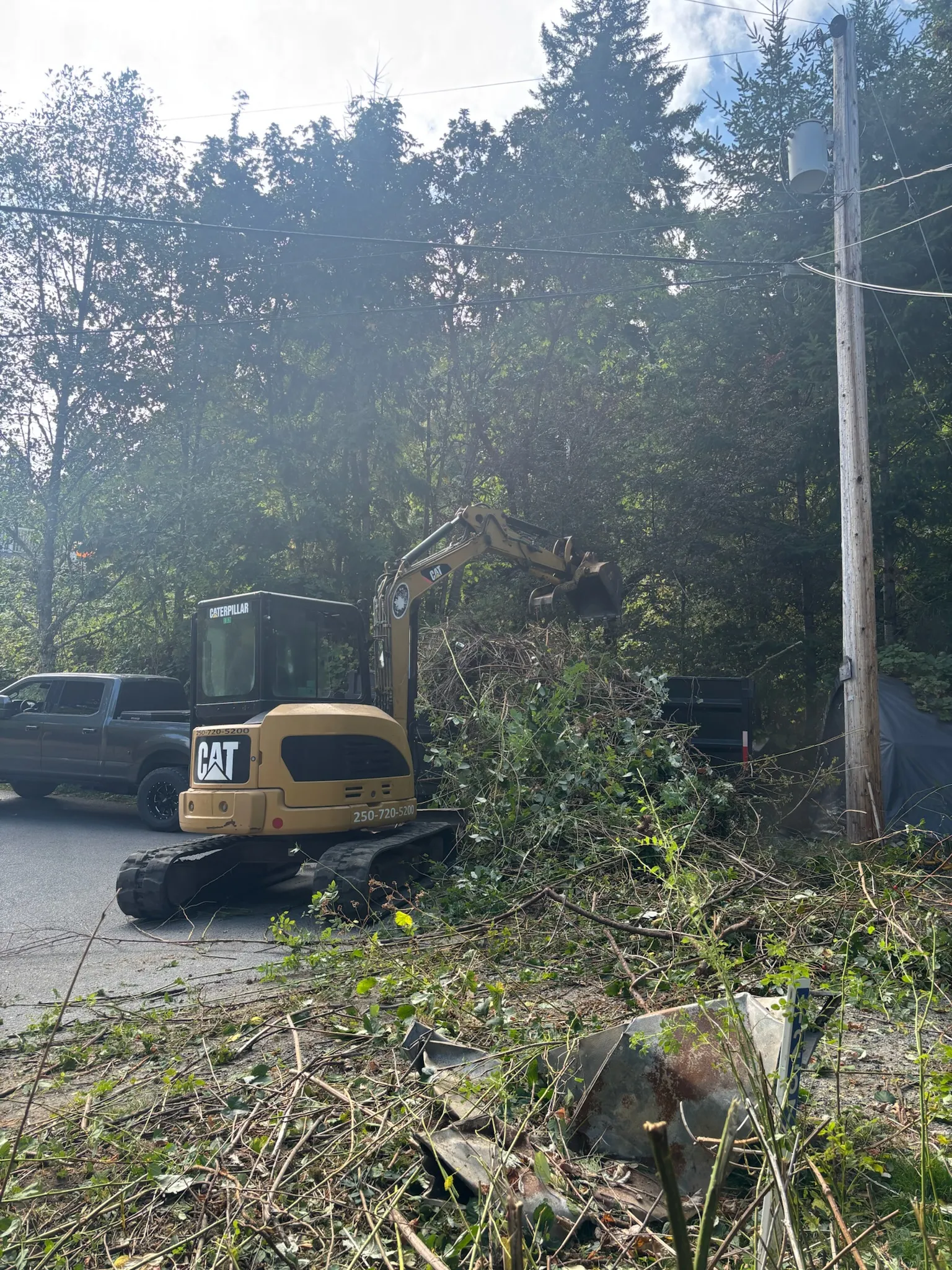 Land Clearing